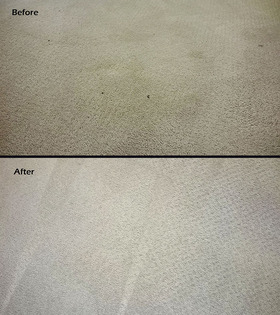 Before and after carpet cleaning.jpg